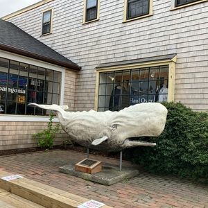 Meet your Posher, Renee